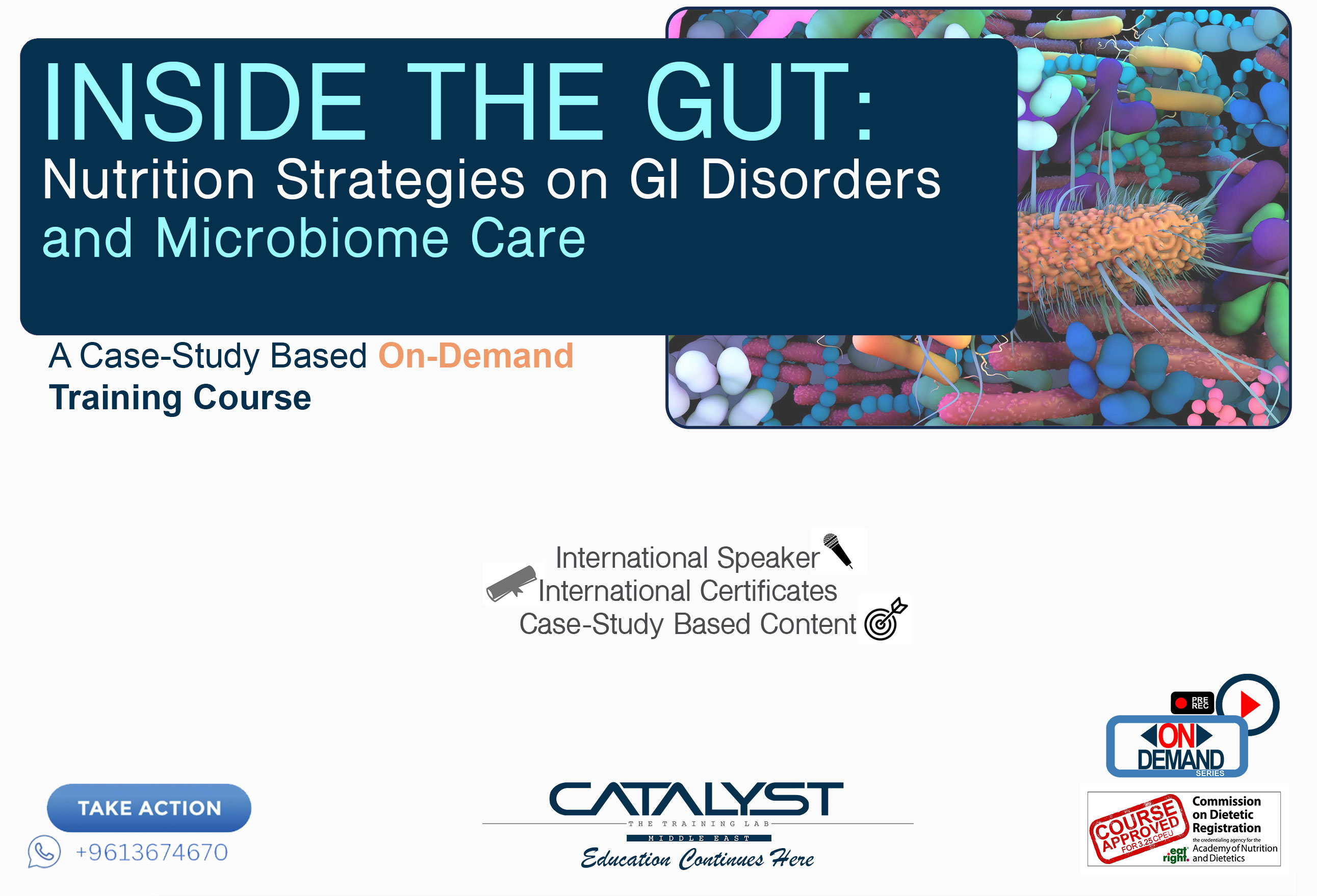 INSIDE THE GUT: Nutrition Strategies on GI Disorders and Microbiome