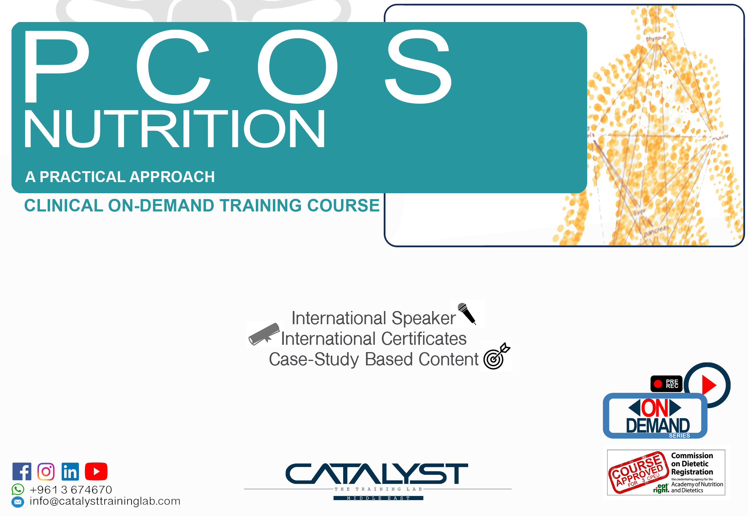 PCOS Nutrition - A Practical Approach